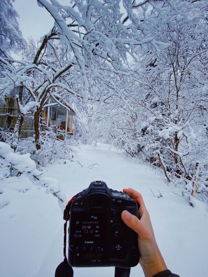 Apricot Pension Hakuba Exterior foto